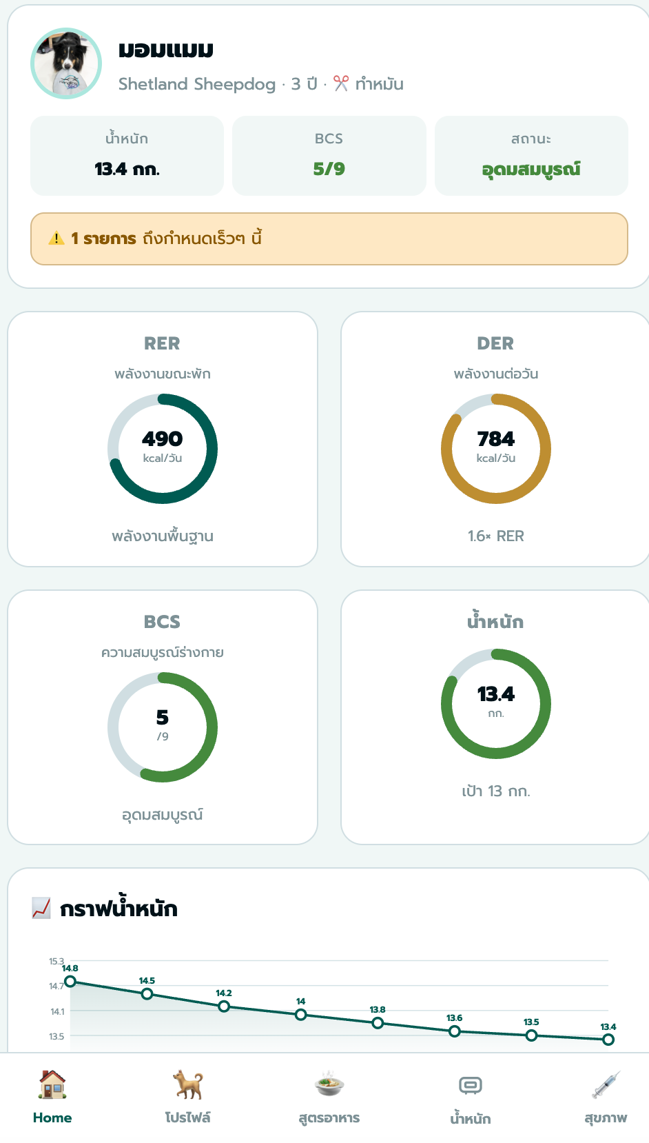 หน้าจอ Dashboard ของมอมแมม